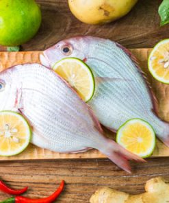 Fish דג